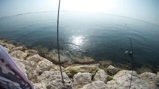 Shore fishing in Bahrain выпуск 2 береговая ловля и тест местных снастей в Персидском заливе