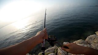 Shore fishing in Bahrain выпуск 2 береговая ловля и тест местных снастей в Персидском заливе