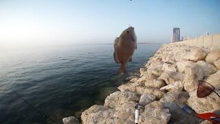 Shore fishing in Bahrain выпуск 2 береговая ловля и тест местных снастей в Персидском заливе