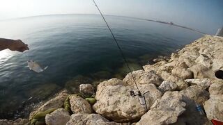 Shore fishing in Bahrain выпуск 2 береговая ловля и тест местных снастей в Персидском заливе