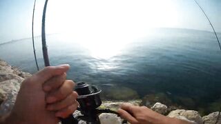 Shore fishing in Bahrain выпуск 2 береговая ловля и тест местных снастей в Персидском заливе