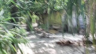 Танзания, Занзибар часть 5: поездка на машине от Нунгви до Кизимкази вдоль океана