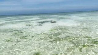 Танзания, Занзибар часть 5: поездка на машине от Нунгви до Кизимкази вдоль океана