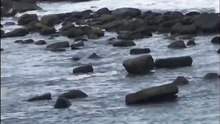 Unawatuna Sri Lanka жизнь у океана прогулки по пляжу и вечерняя береговая рыбалка