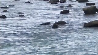 Unawatuna Sri Lanka жизнь у океана прогулки по пляжу и вечерняя береговая рыбалка