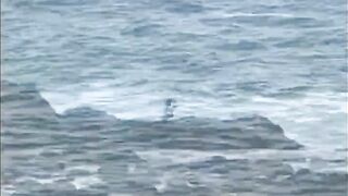 Unawatuna Sri Lanka жизнь у океана прогулки по пляжу и вечерняя береговая рыбалка