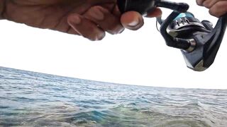 ضربت قرش من الكسارة jigging с берега борьба с акулой у волнореза на арабском побережье