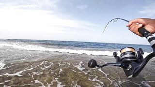 ضربت قرش من الكسارة jigging с берега борьба с акулой у волнореза на арабском побережье