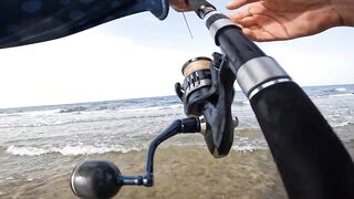 ضربت قرش من الكسارة jigging с берега борьба с акулой у волнореза на арабском побережье