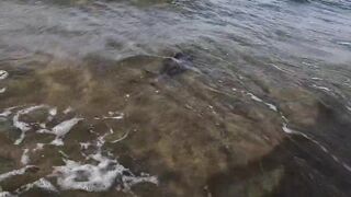 ضربت قرش من الكسارة jigging с берега борьба с акулой у волнореза на арабском побережье