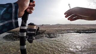 ضربت قرش من الكسارة jigging с берега борьба с акулой у волнореза на арабском побережье