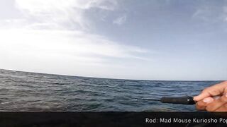 ضربت قرش من الكسارة jigging с берега борьба с акулой у волнореза на арабском побережье