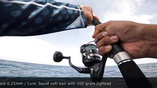 ضربت قرش من الكسارة jigging с берега борьба с акулой у волнореза на арабском побережье