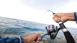 ضربت قرش من الكسارة jigging с берега борьба с акулой у волнореза на арабском побережье