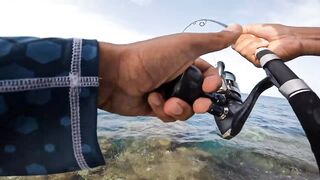 ضربت قرش من الكسارة jigging с берега борьба с акулой у волнореза на арабском побережье