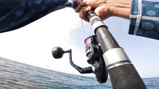 ضربت قرش من الكسارة jigging с берега борьба с акулой у волнореза на арабском побережье