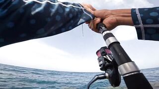 ضربت قرش من الكسارة jigging с берега борьба с акулой у волнореза на арабском побережье