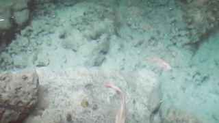 Boca Chica Доминикана - отель Be Live Experience Hamaca и выезды на Саону из Санто-Доминго