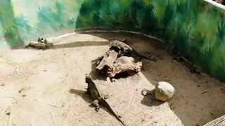 Boca Chica Доминикана - отель Be Live Experience Hamaca и выезды на Саону из Санто-Доминго