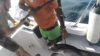 Puerto Morelos день на море с местными капитанами и охотой за трофейной рыбой