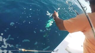 Puerto Morelos день на море с местными капитанами и охотой за трофейной рыбой