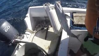 Puerto Morelos день на море с местными капитанами и охотой за трофейной рыбой