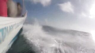 Puerto Morelos день на море с местными капитанами и охотой за трофейной рыбой