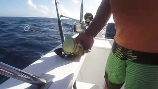 Puerto Morelos день на море с местными капитанами и охотой за трофейной рыбой