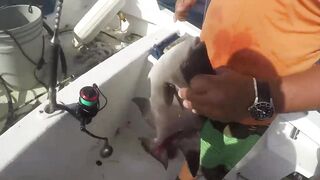Puerto Morelos день на море с местными капитанами и охотой за трофейной рыбой