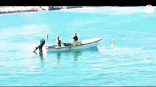 Морская рыбалка в Bahrain Askar Beach на катере подборка лучших морских выездов и поклевок