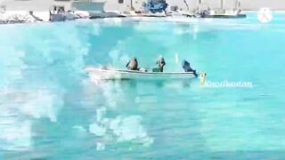 Морская рыбалка в Bahrain Askar Beach на катере подборка лучших морских выездов и поклевок