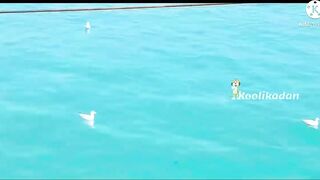 Морская рыбалка в Bahrain Askar Beach на катере подборка лучших морских выездов и поклевок