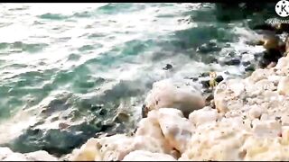 Морская рыбалка в Bahrain Askar Beach на катере подборка лучших морских выездов и поклевок