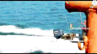 Морская рыбалка в Bahrain Askar Beach на катере подборка лучших морских выездов и поклевок