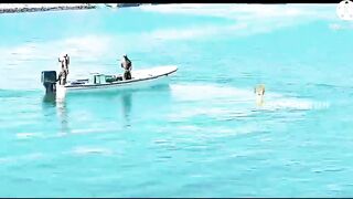 Морская рыбалка в Bahrain Askar Beach на катере подборка лучших морских выездов и поклевок