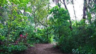 Puerto Jiménez велосипедная прогулка с Silvie и вопрос где вокруг искать места для ловли рыбы