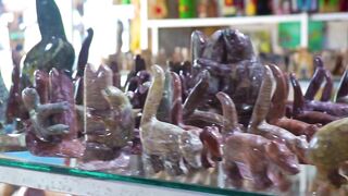 Puerto Jiménez велосипедная прогулка с Silvie и вопрос где вокруг искать места для ловли рыбы