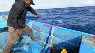 Желтоперый тунец техника ловли handline и морская битва на крючке в открытом океане