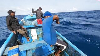 Желтоперый тунец техника ловли handline и морская битва на крючке в открытом океане