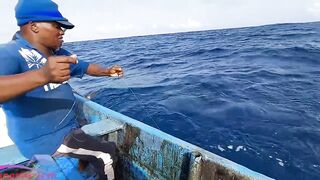 Желтоперый тунец техника ловли handline и морская битва на крючке в открытом океане