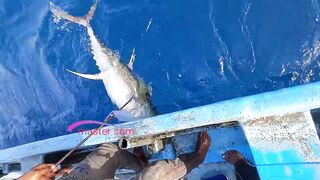 Желтоперый тунец техника ловли handline и морская битва на крючке в открытом океане