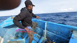 Желтоперый тунец техника ловли handline и морская битва на крючке в открытом океане