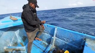 Желтоперый тунец техника ловли handline и морская битва на крючке в открытом океане