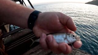 Гагры день у черноморского берега с удочками и прогулками по набережной