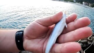 Гагры день у черноморского берега с удочками и прогулками по набережной