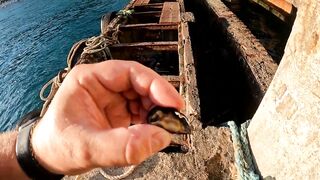 Гагры день у черноморского берега с удочками и прогулками по набережной