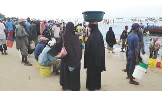 Пляжи Занзибара Chwaka худший пляж для купания отливы регион и парк Jozani обзор местности