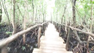 Пляжи Занзибара Chwaka худший пляж для купания отливы регион и парк Jozani обзор местности