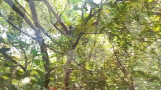 Пляжи Занзибара Chwaka худший пляж для купания отливы регион и парк Jozani обзор местности