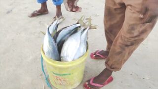 Пляжи Занзибара Chwaka худший пляж для купания отливы регион и парк Jozani обзор местности